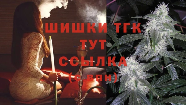 дмт Алексин
