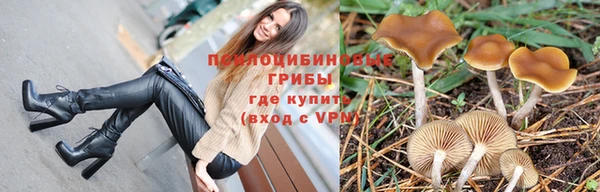 дмт Алексин