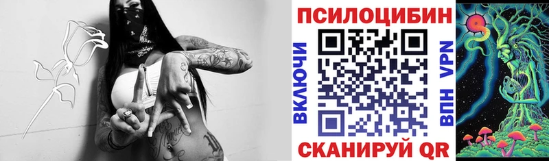 Галлюциногенные грибы Psilocybe  цены наркотик  Тулун 